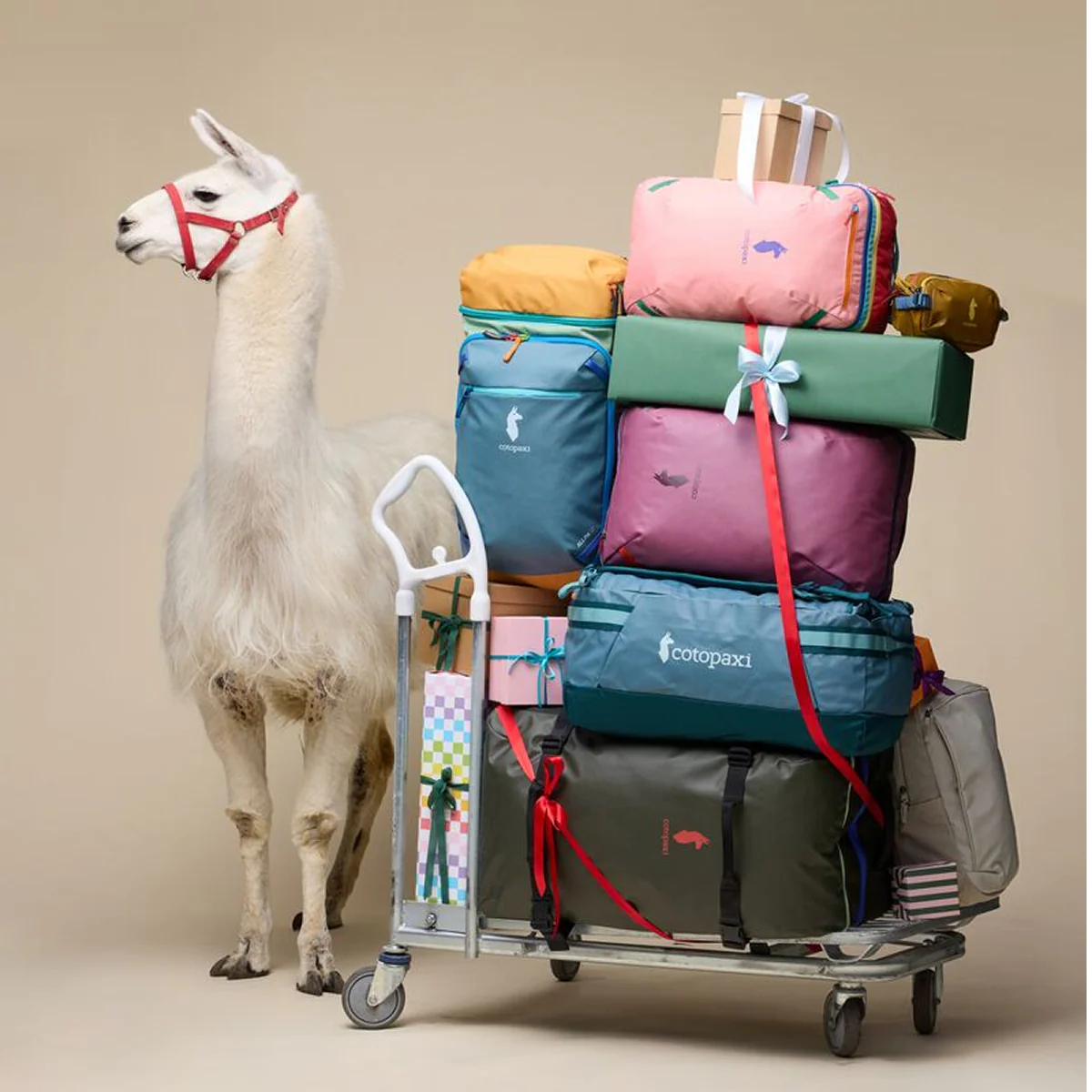 Digital Gift Card - Image 4