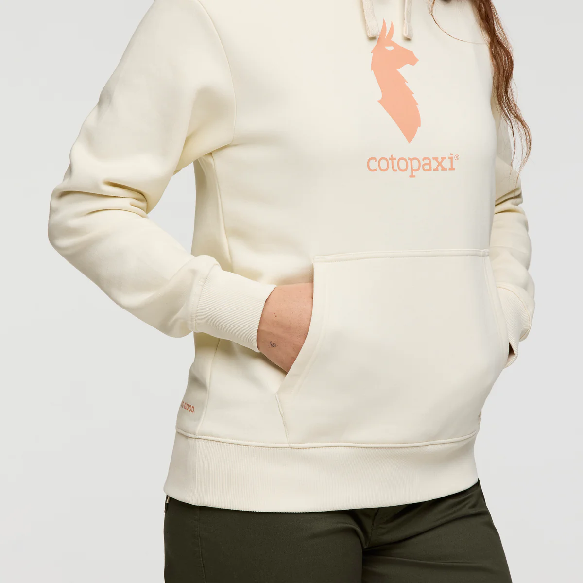 Cotopaxi Llama Pullover Hoodie - Women's - Image 15
